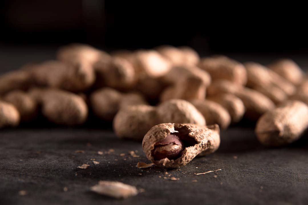 peanuts on a dark background